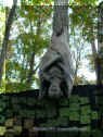 SFGAdvFF10161704 028 copy.jpg (2273813 bytes)