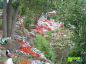 070705-013.jpg (242023 bytes)