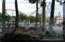 SFGA Sept 11 2004 048 copy.jpg (1988280 bytes)