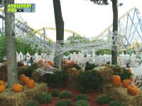 091705-059.jpg (179282 bytes)