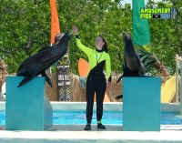 053005-095.jpg (257603 bytes)