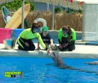 053005-118.jpg (264803 bytes)