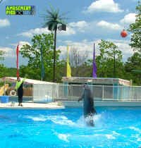 053005-129.jpg (294015 bytes)