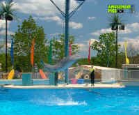 053005-133.jpg (265586 bytes)