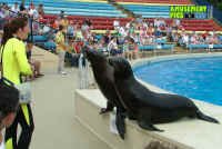 060905-004.jpg (207187 bytes)