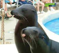 060905-016.jpg (171580 bytes)