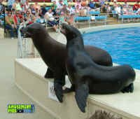 060905-030.jpg (214219 bytes)