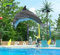 060905-042.jpg (178221 bytes)