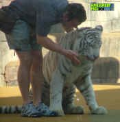 052105-176.jpg (193845 bytes)