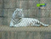 052105-341.jpg (254378 bytes)