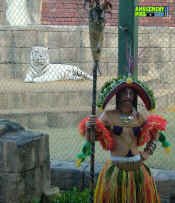 052105-342.jpg (431129 bytes)