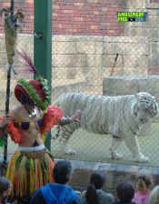 052105-347.jpg (411229 bytes)