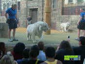 052105-361.jpg (292695 bytes)