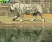 053005-188.jpg (214672 bytes)