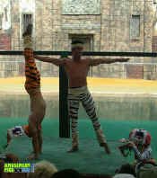 053005-221.jpg (325453 bytes)