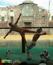 053005-227.jpg (370474 bytes)