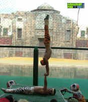 053005-259.jpg (346360 bytes)