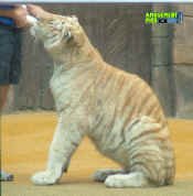 053005-283.jpg (215615 bytes)