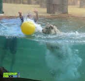 053005-326.jpg (222908 bytes)