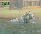 053005-338.jpg (172925 bytes)