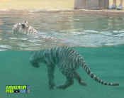 053005-349.jpg (173748 bytes)