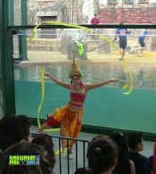 053005-366.jpg (298816 bytes)