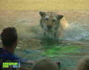 053005-395.jpg (193780 bytes)