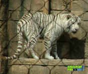 053005-414.jpg (230954 bytes)